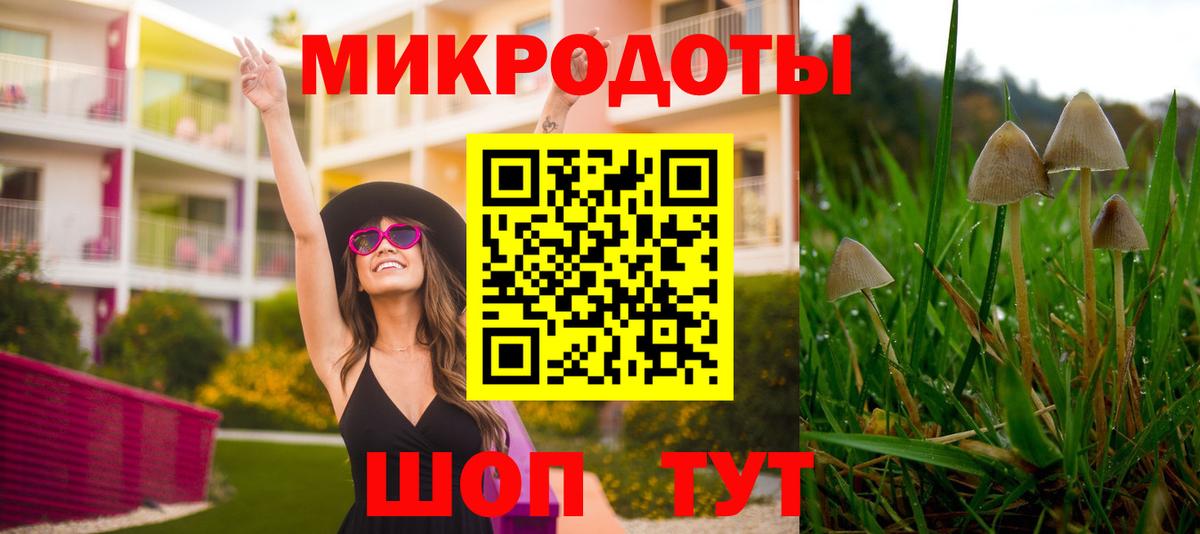 Новозыбков  Галлюциногенные грибы мицелий  Вход с VPN  Псилоцибиновые грибы мухоморы 